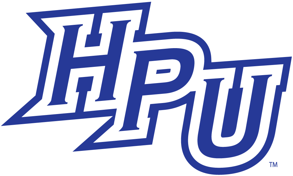 High Point Panthers 2004-2011 Alternate Logo v5 iron on transfers for fabric